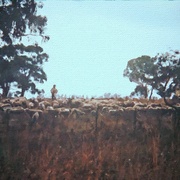 Image_card