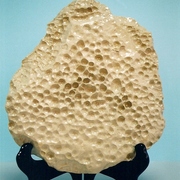 Ps-22_card