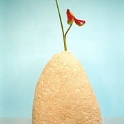 Ps-24_card
