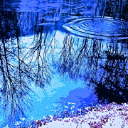 Winter_pond_2_card