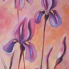 Iris_thumb