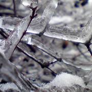 Ice_card