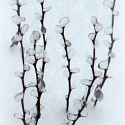 Frozen_card