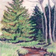 Orangeriver_card