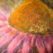 La_foto__3__square