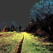 Dscn0393