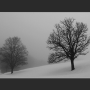 Aa_bodele_5a_card