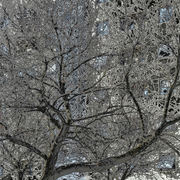 Dscn0405