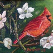 Cardinal_card