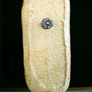 Ps-39_card