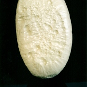Ps-42_card