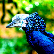 Dsc_9134_card