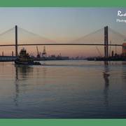 Slide104_card