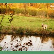 Slide65_card