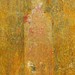 Img_0172_square