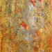 Img_0167_square