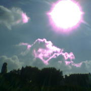 Bild_181_card
