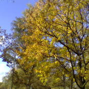 Bild_226_card
