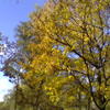 Bild_226_thumb