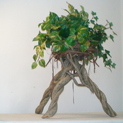 Dsc01012_card