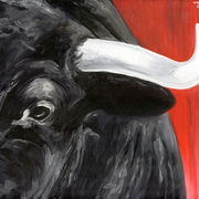 Toro_card