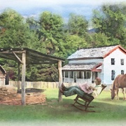 Image_card