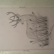 Image_card