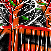 Like7_copy_card