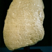 Ps-49_card