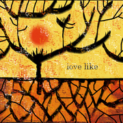 Like10_copy_card