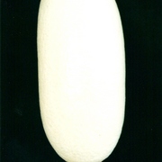Ps-69_card