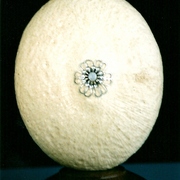 Ps-74_card