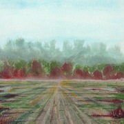 Waiting_field_card