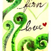 Img014_card