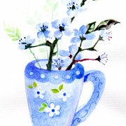 Img016_card