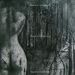 Entre_dimensiones_square