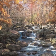 Image_card