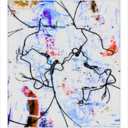 13_5b_net_card