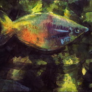 P1010765_card