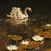 Flat_800x800_070_f__1___1__square