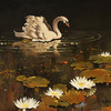 Flat_800x800_070_f__1___1__thumb