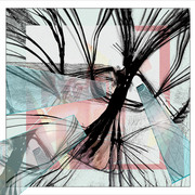 13_6c_net_card