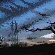 Dscn0556