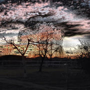Dscn0553