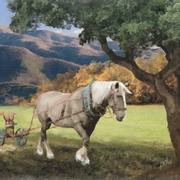 Image_card