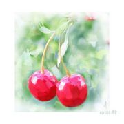 50477-20c9b92eee4e095f_card