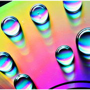 Bubbles_card
