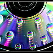 Dsc_9588_card