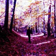 Photo__2__card