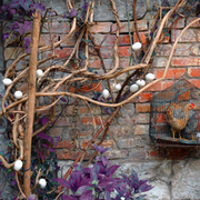 Eggtree